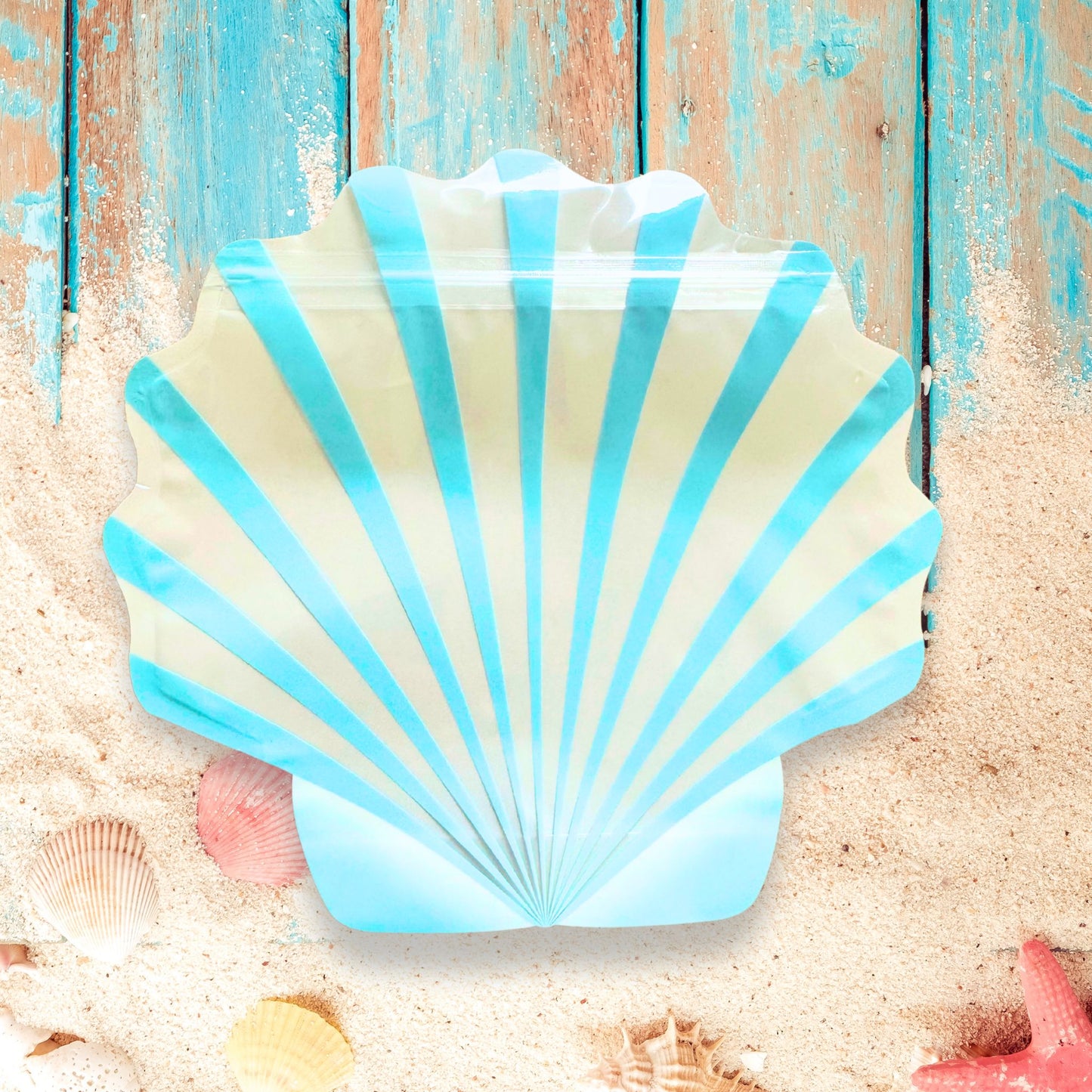 Blue Seashell Bag or last toast on the coast Kit
