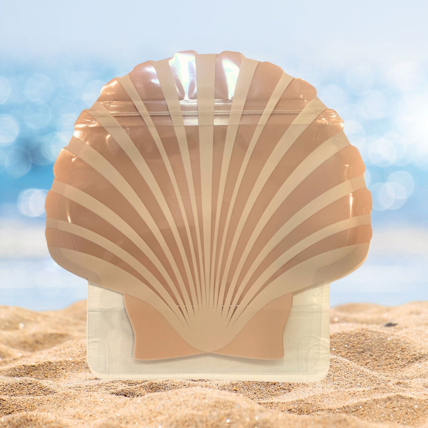 Seashell Bag or last toast on the coast Kit