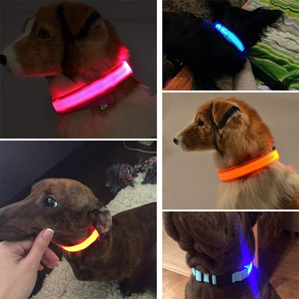 LED Dog Collar | LED bright night pet collar