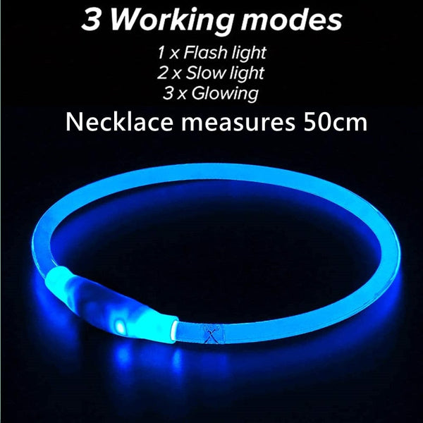 LED Glow in the Dark Dog Collars | LED glow in the night safety dog collar